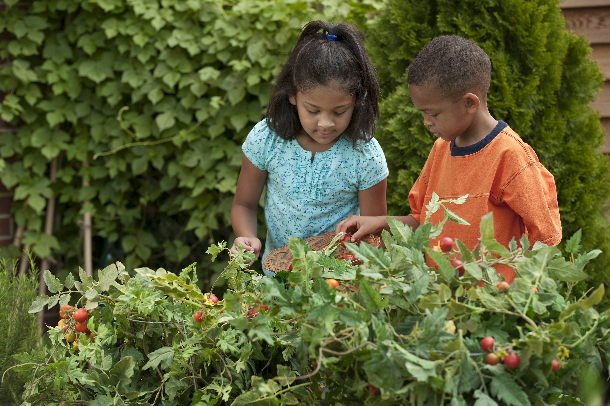 Connecticut Farm to School