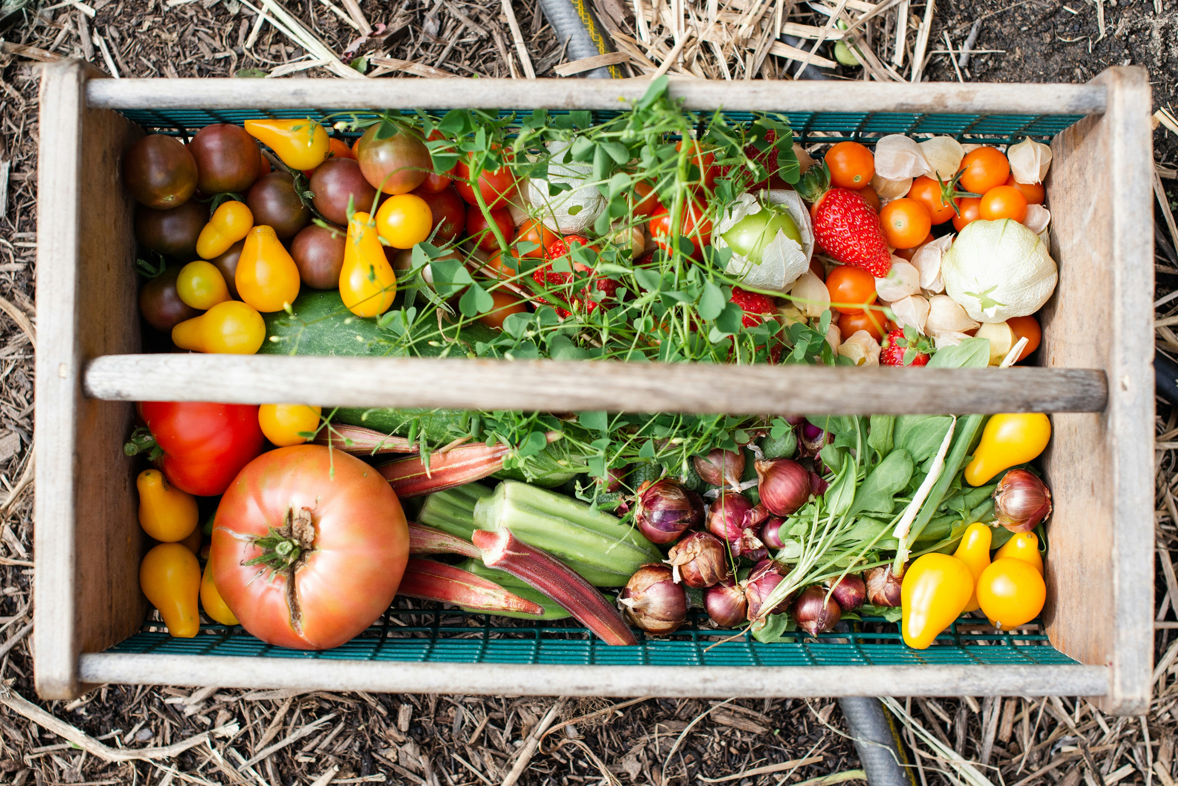 Kids with Vegetables